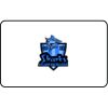 Name Badge Thumbnail