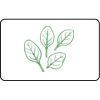 Name Badge Thumbnail