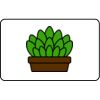 Name Badge Thumbnail