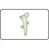 Name Badge Thumbnail