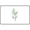 Name Badge Thumbnail