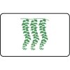 Name Badge Thumbnail