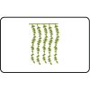 Name Badge Thumbnail