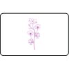 Name Badge Thumbnail