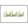 Name Badge Thumbnail