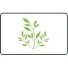 Name Badge Thumbnail
