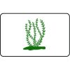 Name Badge Thumbnail