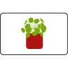 Name Badge Thumbnail