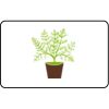 Name Badge Thumbnail