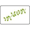 Name Badge Thumbnail