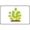 Name Badge Thumbnail