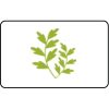 Name Badge Thumbnail