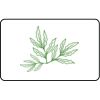 Name Badge Thumbnail