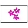 Name Badge Thumbnail