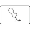 Name Badge Thumbnail