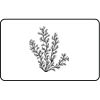 Name Badge Thumbnail
