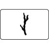 Name Badge Thumbnail