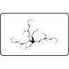 Name Badge Thumbnail
