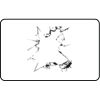 Name Badge Thumbnail
