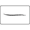 Name Badge Thumbnail