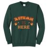 Unisex Core Fleece Crewneck Sweatshirt Thumbnail